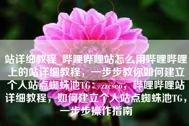 站详细教程_哔哩哔哩站怎么用哔哩哔哩上的站详细教程，一步步教你如何建立个人站点蜘蛛池TG：zzcseo，哔哩哔哩站详细教程，如何建立个人站点蜘蛛池TG，一步步操作指南