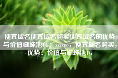 便宜域名便宜域名购买便宜域名的优势与价值蜘蛛池TG：zzcseo，便宜域名购买，优势、价值与蜘蛛池TG