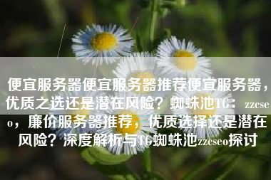 便宜服务器便宜服务器推荐便宜服务器，优质之选还是潜在风险？蜘蛛池TG：zzcseo，廉价服务器推荐，优质选择还是潜在风险？深度解析与TG蜘蛛池zzcseo探讨