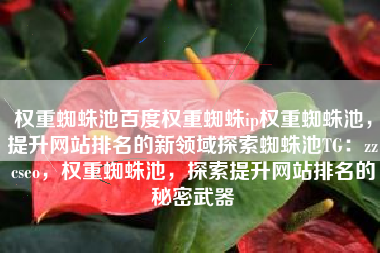 权重蜘蛛池百度权重蜘蛛ip权重蜘蛛池，提升网站排名的新领域探索蜘蛛池TG：zzcseo，权重蜘蛛池，探索提升网站排名的秘密武器