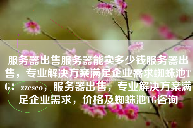 服务器出售服务器能卖多少钱服务器出售，专业解决方案满足企业需求蜘蛛池TG：zzcseo，服务器出售，专业解决方案满足企业需求，价格及蜘蛛池TG咨询