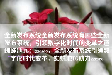 全新发布系统全新发布系统有哪些全新发布系统，引领数字化时代的变革之道蜘蛛池TG：zzcseo，全新发布系统引领数字化时代变革，蜘蛛池TG助力zzcseo