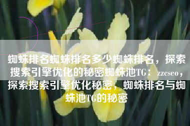 蜘蛛排名蜘蛛排名多少蜘蛛排名，探索搜索引擎优化的秘密蜘蛛池TG：zzcseo，探索搜索引擎优化秘密，蜘蛛排名与蜘蛛池TG的秘密