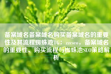备案域名备案域名购买备案域名的重要性及其流程蜘蛛池TG：zzcseo，备案域名的重要性、购买流程与蜘蛛池SEO策略解析