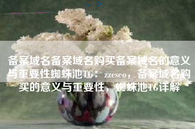 备案域名备案域名购买备案域名的意义与重要性蜘蛛池TG：zzcseo，备案域名购买的意义与重要性，蜘蛛池TG详解
