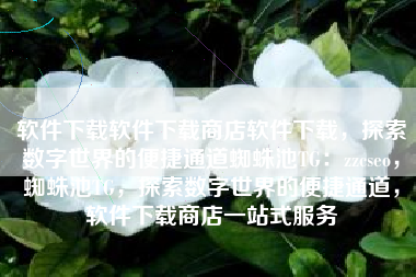 软件下载软件下载商店软件下载，探索数字世界的便捷通道蜘蛛池TG：zzcseo，蜘蛛池TG，探索数字世界的便捷通道，软件下载商店一站式服务