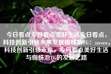 今日看点今日看点美好生活今日看点，科技创新引领未来发展蜘蛛池TG：zzcseo，科技创新引领未来，今日看点美好生活与蜘蛛池TG的发展之路