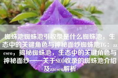 蜘蛛池蜘蛛池引收录是什么蜘蛛池，生态中的关键角色与神秘面纱蜘蛛池TG：zzcseo，揭秘蜘蛛池，生态中的关键角色与神秘面纱——关于SEO收录的蜘蛛池介绍及zzcseo解析