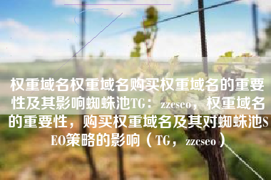 权重域名权重域名购买权重域名的重要性及其影响蜘蛛池TG：zzcseo，权重域名的重要性，购买权重域名及其对蜘蛛池SEO策略的影响（TG，zzcseo）