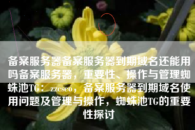 备案服务器备案服务器到期域名还能用吗备案服务器，重要性、操作与管理蜘蛛池TG：zzcseo，备案服务器到期域名使用问题及管理与操作，蜘蛛池TG的重要性探讨