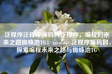 泛程序泛程序源码网泛程序，编程的未来之路蜘蛛池TG：zzcseo，泛程序源码网，探索编程未来之路与蜘蛛池TG