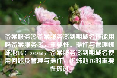 备案服务器备案服务器到期域名还能用吗备案服务器，重要性、操作与管理蜘蛛池TG：zzcseo，备案服务器到期域名使用问题及管理与操作，蜘蛛池TG的重要性探讨