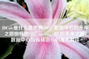 IDCidc是什么意思啊IDC，数据中心的未来之路蜘蛛池TG：zzcseo，IDC的未来之路，数据中心与蜘蛛池TG的角色解读