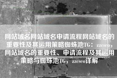 网站域名网站域名申请流程网站域名的重要性及其运用策略蜘蛛池TG：zzcseo，网站域名的重要性、申请流程及其运用策略与蜘蛛池TG，zzcseo详解