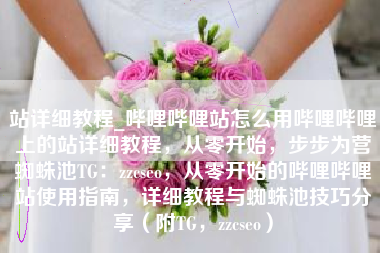 站详细教程_哔哩哔哩站怎么用哔哩哔哩上的站详细教程，从零开始，步步为营蜘蛛池TG：zzcseo，从零开始的哔哩哔哩站使用指南，详细教程与蜘蛛池技巧分享（附TG，zzcseo）