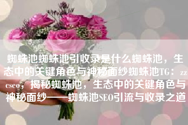 蜘蛛池蜘蛛池引收录是什么蜘蛛池，生态中的关键角色与神秘面纱蜘蛛池TG：zzcseo，揭秘蜘蛛池，生态中的关键角色与神秘面纱——蜘蛛池SEO引流与收录之道