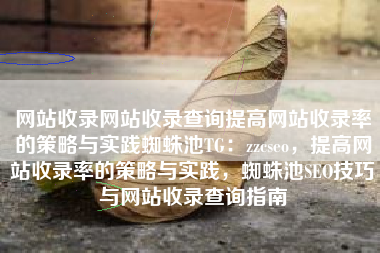 网站收录网站收录查询提高网站收录率的策略与实践蜘蛛池TG：zzcseo，提高网站收录率的策略与实践，蜘蛛池SEO技巧与网站收录查询指南