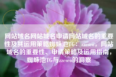 网站域名网站域名申请网站域名的重要性及其运用策略蜘蛛池TG：zzcseo，网站域名的重要性、申请策略及运用指南，蜘蛛池TG与zzcseo的洞察