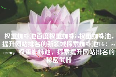 权重蜘蛛池百度权重蜘蛛ip权重蜘蛛池，提升网站排名的新领域探索蜘蛛池TG：zzcseo，权重蜘蛛池，探索提升网站排名的秘密武器
