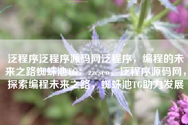 泛程序泛程序源码网泛程序，编程的未来之路蜘蛛池TG：zzcseo，泛程序源码网，探索编程未来之路，蜘蛛池TG助力发展