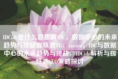 IDCidc是什么意思啊IDC，数据中心的未来趋势与挑战蜘蛛池TG：zzcseo，IDC与数据中心的未来趋势与挑战，IDCidc解析与蜘蛛池SEO策略探讨