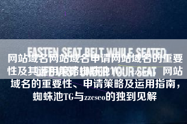 网站域名网站域名申请网站域名的重要性及其运用策略蜘蛛池TG：zzcseo，网站域名的重要性、申请策略及运用指南，蜘蛛池TG与zzcseo的独到见解