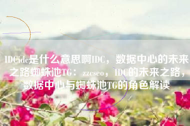 IDCidc是什么意思啊IDC，数据中心的未来之路蜘蛛池TG：zzcseo，IDC的未来之路，数据中心与蜘蛛池TG的角色解读