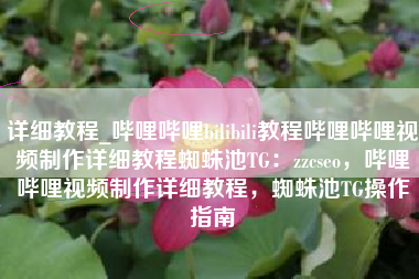 详细教程_哔哩哔哩bilibili教程哔哩哔哩视频制作详细教程蜘蛛池TG：zzcseo，哔哩哔哩视频制作详细教程，蜘蛛池TG操作指南