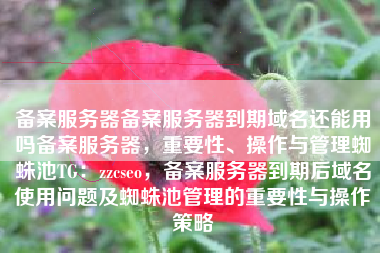 备案服务器备案服务器到期域名还能用吗备案服务器，重要性、操作与管理蜘蛛池TG：zzcseo，备案服务器到期后域名使用问题及蜘蛛池管理的重要性与操作策略