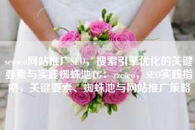 seoseo网站推广SEO，搜索引擎优化的关键要素与实践蜘蛛池TG：zzcseo，SEO实践指南，关键要素、蜘蛛池与网站推广策略
