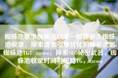 蜘蛛池收录蜘蛛池收录一般要多久蜘蛛池收录，探索搜索引擎优化的秘密武器蜘蛛池TG：zzcseo，探索SEO秘密武器，蜘蛛池收录时间与策略TG，zzcseo