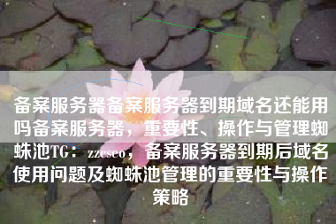 备案服务器备案服务器到期域名还能用吗备案服务器，重要性、操作与管理蜘蛛池TG：zzcseo，备案服务器到期后域名使用问题及蜘蛛池管理的重要性与操作策略