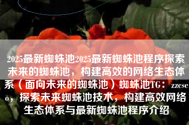 2025最新蜘蛛池2025最新蜘蛛池程序探索未来的蜘蛛池，构建高效的网络生态体系（面向未来的蜘蛛池）蜘蛛池TG：zzcseo，探索未来蜘蛛池技术，构建高效网络生态体系与最新蜘蛛池程序介绍