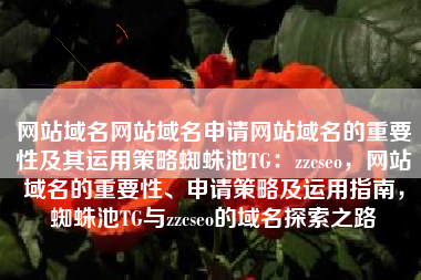 网站域名网站域名申请网站域名的重要性及其运用策略蜘蛛池TG：zzcseo，网站域名的重要性、申请策略及运用指南，蜘蛛池TG与zzcseo的域名探索之路