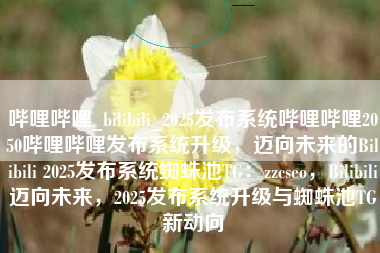 哔哩哔哩_bilibili_2025发布系统哔哩哔哩2050哔哩哔哩发布系统升级，迈向未来的Bilibili 2025发布系统蜘蛛池TG：zzcseo，Bilibili迈向未来，2025发布系统升级与蜘蛛池TG新动向
