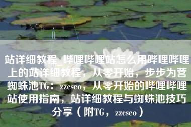 站详细教程_哔哩哔哩站怎么用哔哩哔哩上的站详细教程，从零开始，步步为营蜘蛛池TG：zzcseo，从零开始的哔哩哔哩站使用指南，站详细教程与蜘蛛池技巧分享（附TG，zzcseo）