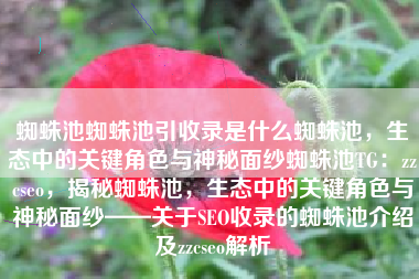 蜘蛛池蜘蛛池引收录是什么蜘蛛池，生态中的关键角色与神秘面纱蜘蛛池TG：zzcseo，揭秘蜘蛛池，生态中的关键角色与神秘面纱——关于SEO收录的蜘蛛池介绍及zzcseo解析