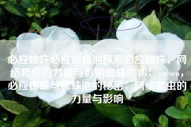 必应蜘蛛必应蜘蛛池探索必应蜘蛛，网络爬虫的力量与影响蜘蛛池TG：zzcseo，必应蜘蛛与蜘蛛池的秘密，网络爬虫的力量与影响