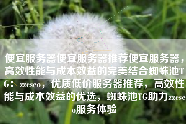 便宜服务器便宜服务器推荐便宜服务器，高效性能与成本效益的完美结合蜘蛛池TG：zzcseo，优质低价服务器推荐，高效性能与成本效益的优选，蜘蛛池TG助力zzcseo服务体验