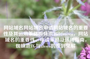 网站域名网站域名申请网站域名的重要性及其运用策略蜘蛛池TG：zzcseo，网站域名的重要性、申请策略及运用指南，蜘蛛池TG与zzcseo的独到见解