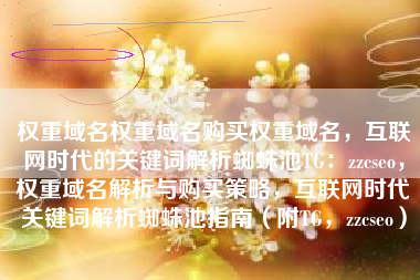 权重域名权重域名购买权重域名，互联网时代的关键词解析蜘蛛池TG：zzcseo，权重域名解析与购买策略，互联网时代关键词解析蜘蛛池指南（附TG，zzcseo）