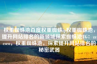权重蜘蛛池百度权重蜘蛛ip权重蜘蛛池，提升网站排名的新领域探索蜘蛛池TG：zzcseo，权重蜘蛛池，探索提升网站排名的秘密武器
