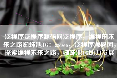 泛程序泛程序源码网泛程序，编程的未来之路蜘蛛池TG：zzcseo，泛程序源码网，探索编程未来之路，蜘蛛池TG助力发展