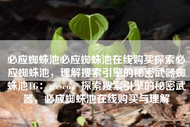 必应蜘蛛池必应蜘蛛池在线购买探索必应蜘蛛池，理解搜索引擎的秘密武器蜘蛛池TG：zzcseo，探索搜索引擎的秘密武器，必应蜘蛛池在线购买与理解