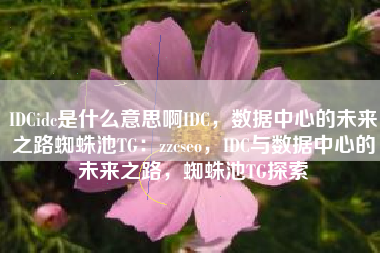 IDCidc是什么意思啊IDC，数据中心的未来之路蜘蛛池TG：zzcseo，IDC与数据中心的未来之路，蜘蛛池TG探索