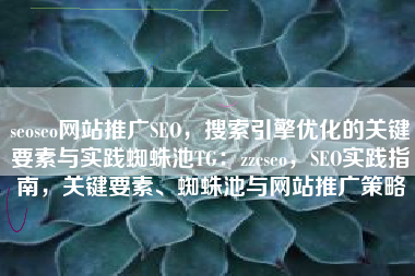seoseo网站推广SEO，搜索引擎优化的关键要素与实践蜘蛛池TG：zzcseo，SEO实践指南，关键要素、蜘蛛池与网站推广策略