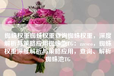 蜘蛛权重蜘蛛权重查询蜘蛛权重，深度解析与策略应用蜘蛛池TG：zzcseo，蜘蛛权重深度解析与策略应用，查询、解析蜘蛛池TG