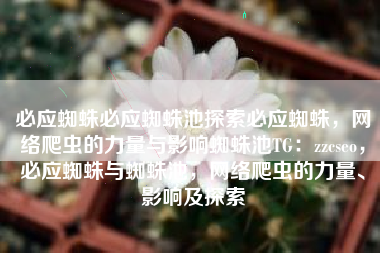 必应蜘蛛必应蜘蛛池探索必应蜘蛛，网络爬虫的力量与影响蜘蛛池TG：zzcseo，必应蜘蛛与蜘蛛池，网络爬虫的力量、影响及探索