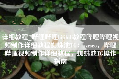 详细教程_哔哩哔哩bilibili教程哔哩哔哩视频制作详细教程蜘蛛池TG：zzcseo，哔哩哔哩视频制作详细教程，蜘蛛池TG操作指南