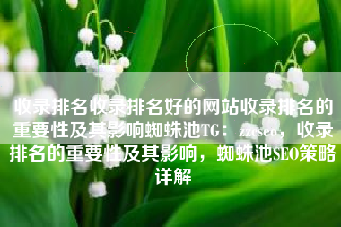 收录排名收录排名好的网站收录排名的重要性及其影响蜘蛛池TG：zzcseo，收录排名的重要性及其影响，蜘蛛池SEO策略详解
